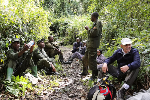 Gorilla trekking in Bwindi forest