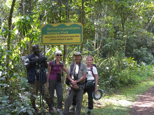 Gorilla Trekking in Bwindi