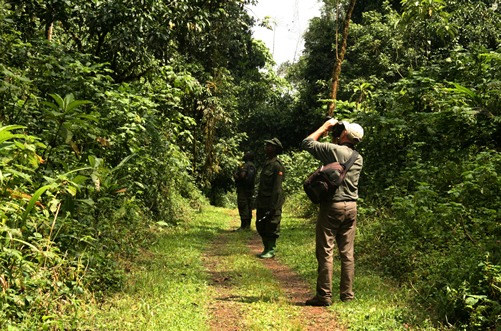 Price of gorilla tracking in Bwindi