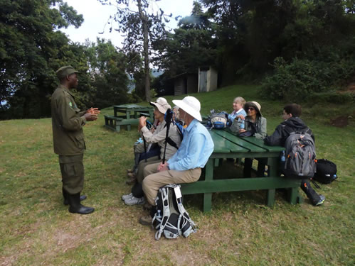 Probability of seeing mountain gorillas