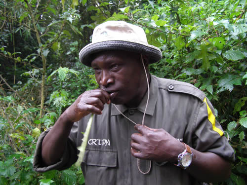 Visiting the grave of Dian Fossey