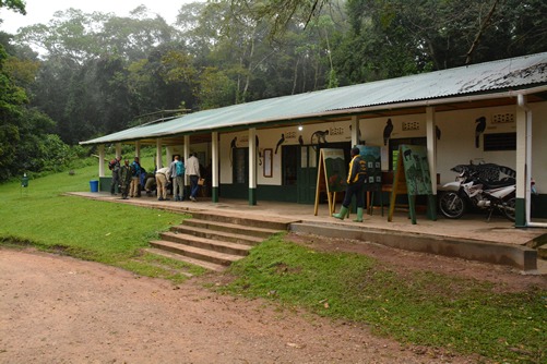 Chimpanzee Tracking in Kibale