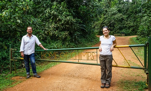 Chimpanzee trekking Uganda