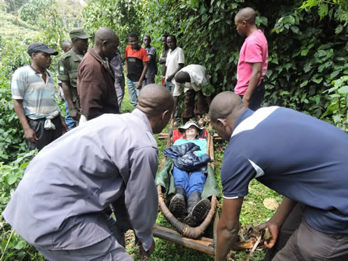 Gorilla trekking for older travelers