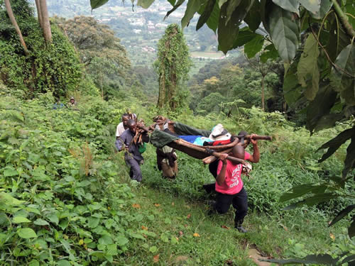 Gorilla trekking for the elderly