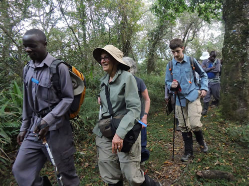 Gorilla trekking for the elders