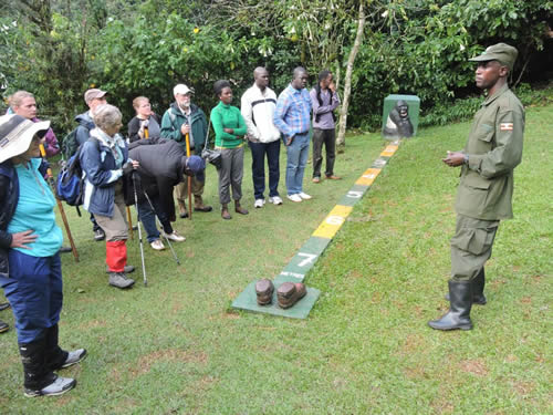 Gorilla Trekking for the old