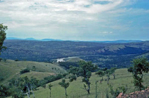 A safari in Akagera National Park