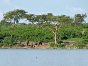 Kazinga Channel Launch Cruise