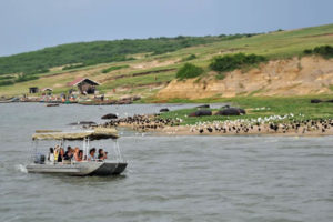 Kazinga Channel Boat Trip