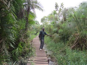 What to do in Kibale National Park
