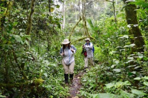 What to see in Kibale National Park