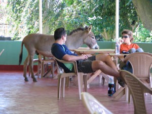 Entebbe Zoo Entrance Fee