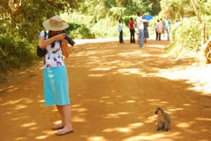 Entebbe zoo working hours