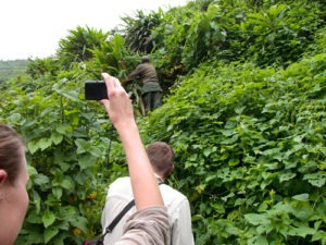 How long does gorilla trekking take