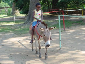 Uganda Wildlife Education Centre Working Hours