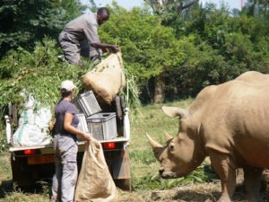Uganda Wildlife Education Centre entrance fees