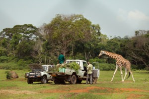 Entebbe zoo behind the scenes experience