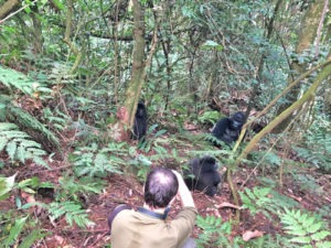 Fitness Gorilla Trekking