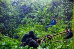 Best place for gorilla trekking