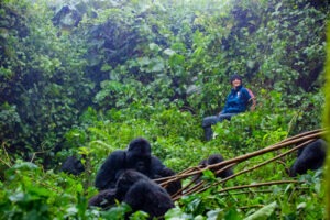 Best place for gorilla trekking